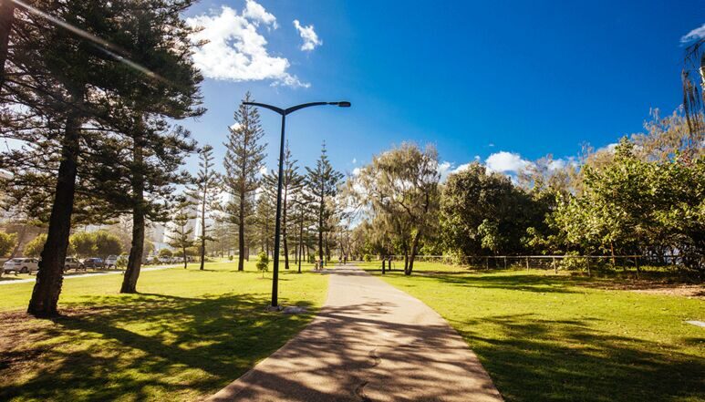 sunlit walking path through kurrawa and pratten park with pine trees and open lawns, a relaxing spot for any gold coast holiday